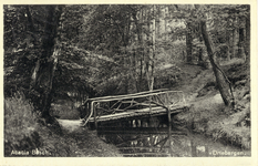 10125 Gezicht op een houten boogbruggetje over een spreng in het Acaciabos bij Driebergen-Rijsenburg.